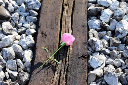 Loving memory condolence rail