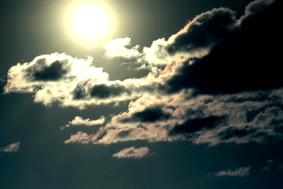 Abendstimmung nature evening sun