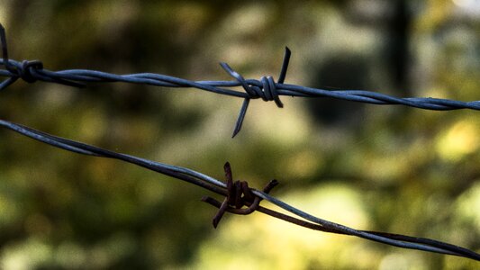 Wire fence outdoor photo