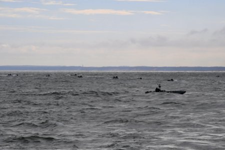 170614-N-PF515-056 (35186939241)