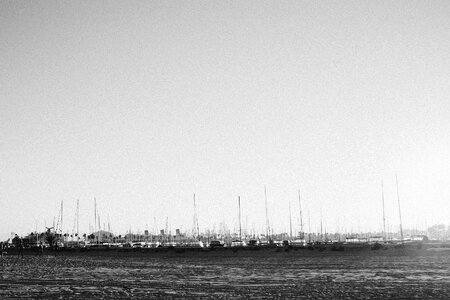 Harbour boats sailboats