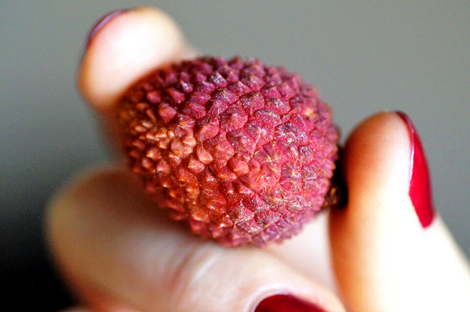 Exotic tropical sour