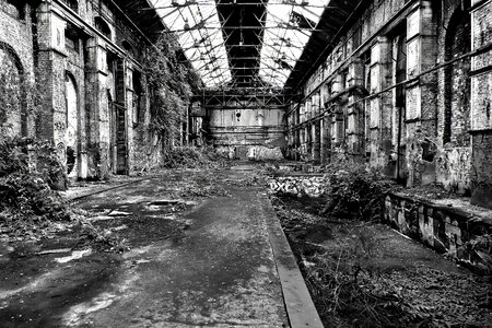 Pforphoto old decay