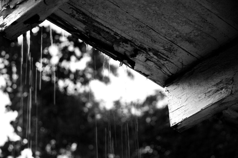 Wood old black and white