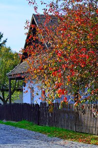 Landscape village rural