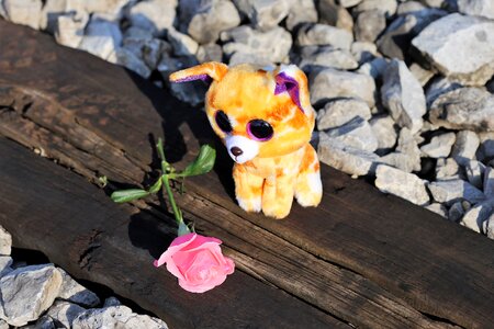 Pink rose lost friend railway