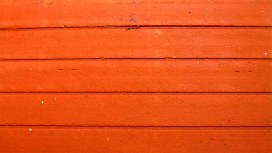 Wallpaper dry outdoor