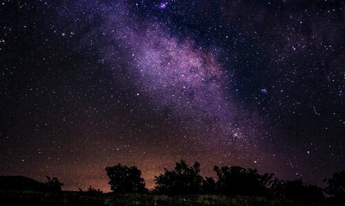 Star silence summer