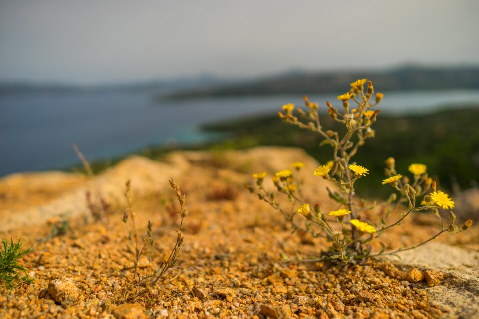 Sea sky coast