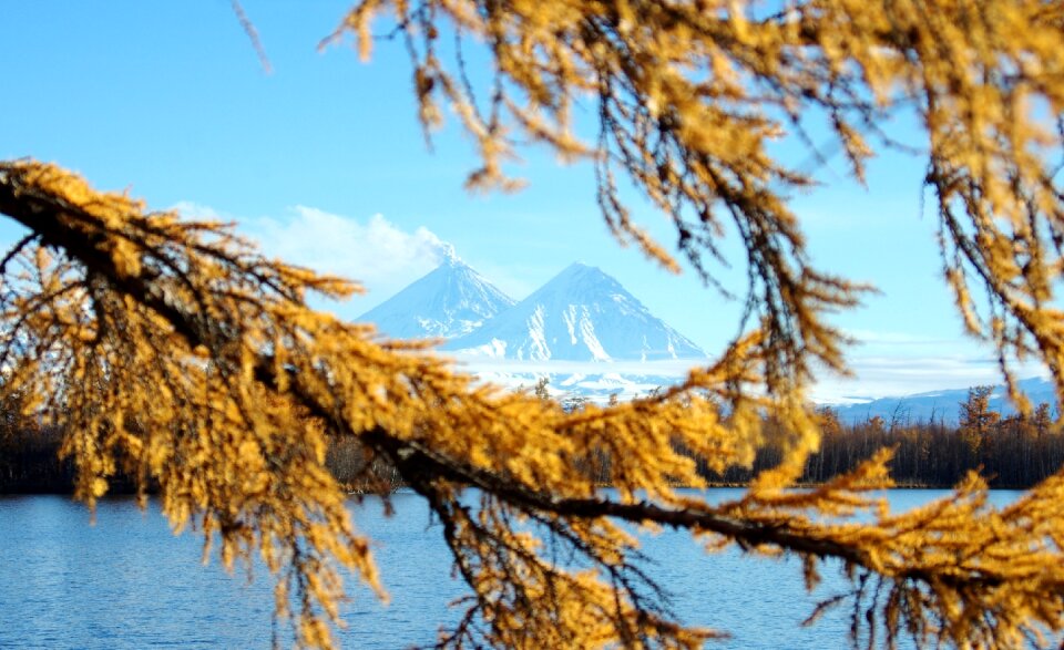Branch needles lake