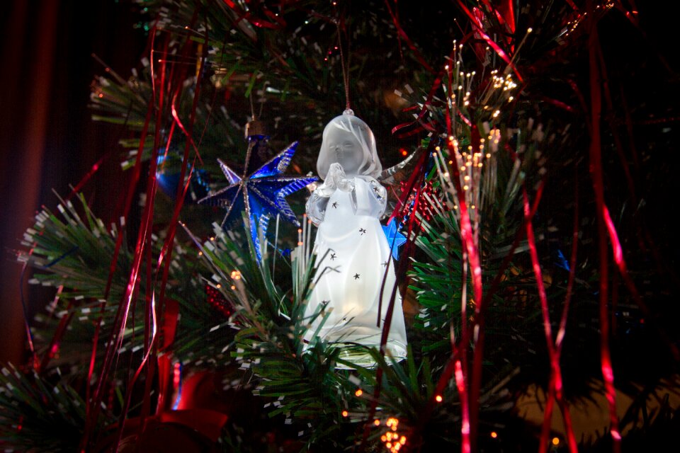 Holiday christmas tree winter