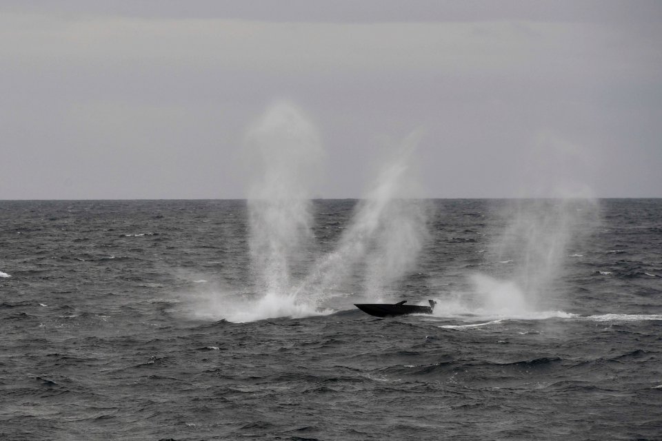 171009-N-FP878-686 (37582618562)