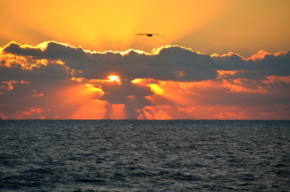 Beauty ocean morning photo