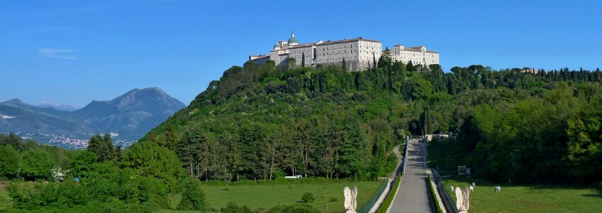 Tree panorama monte cassino