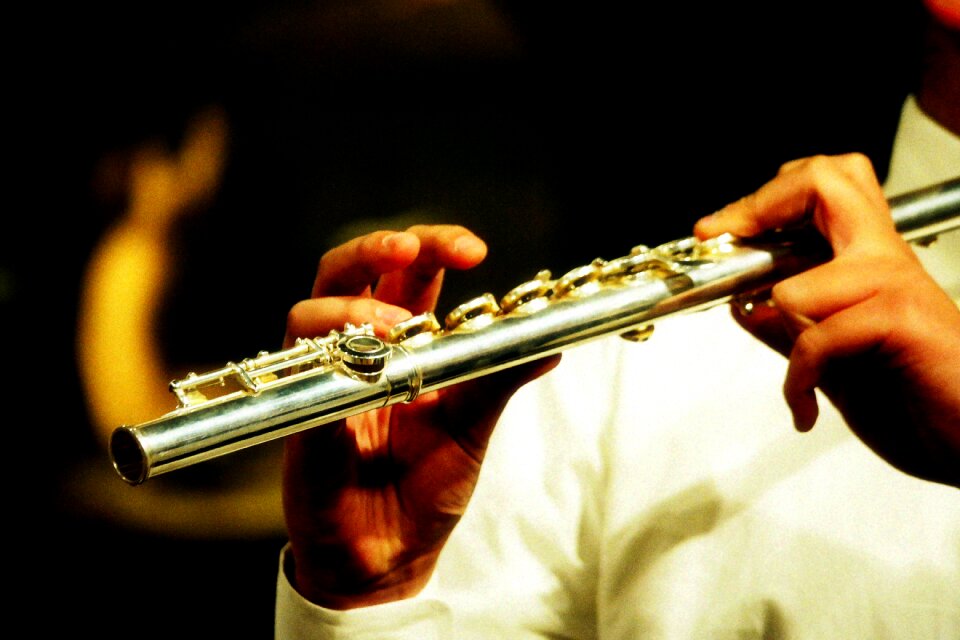 Musician flute concert