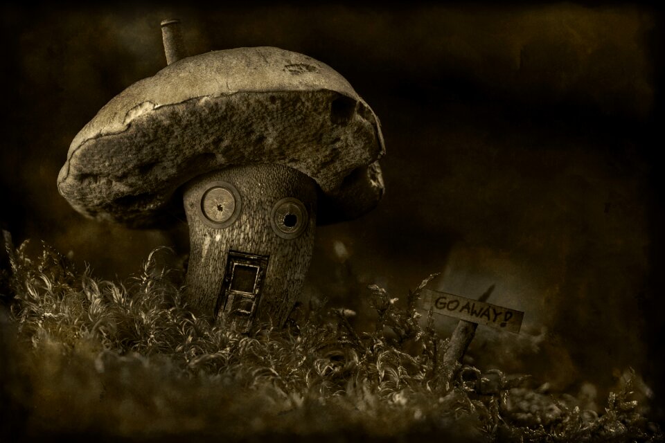 Haunted dreary broken