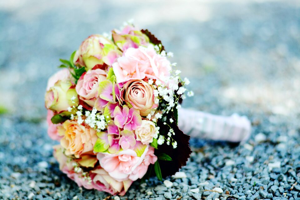 Wedding marry roses photo