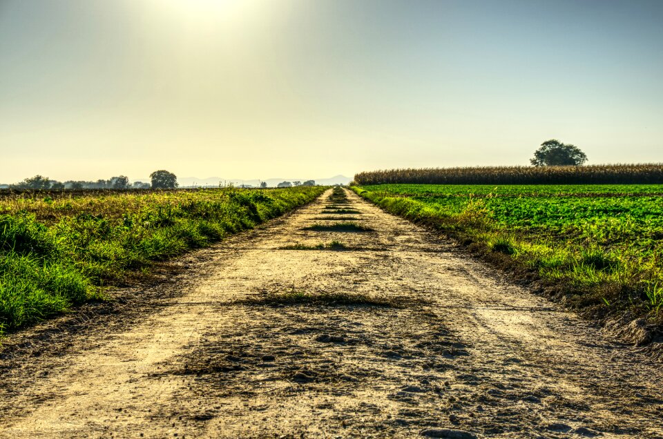 Lane landscape photo fields