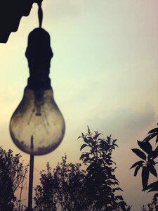 Light bulb sky trees photo