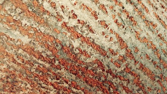 Wood texture abstract