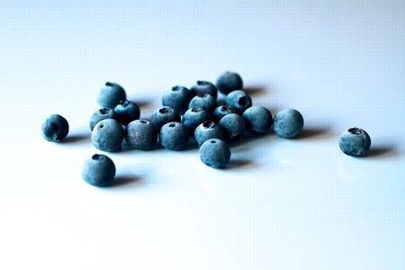 Color blueberry fruit