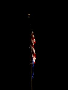 Utah State Capitol grounds, Thanksgiving evening - November 2008 - by Brandon Evershed (23) (17712407363)