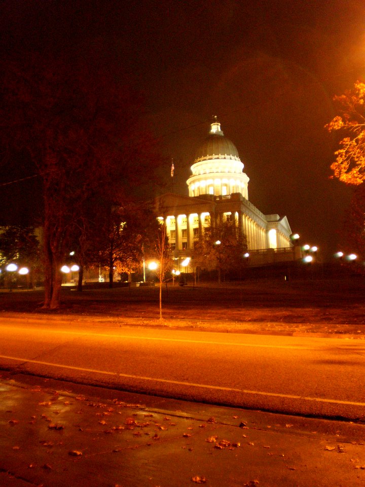 Utah State Capitol grounds, Thanksgiving evening - November 2008 - by Brandon Evershed (34) (18334371441)