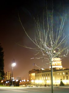 Utah State Capitol grounds, Thanksgiving evening - November 2008 - by Brandon Evershed (43) (18306320376)