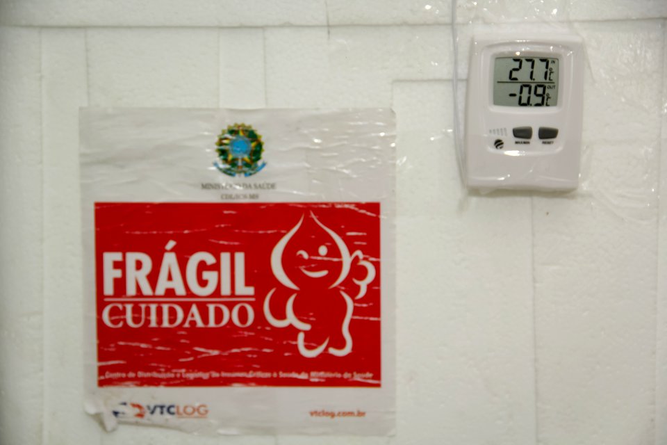 Vaccination campaign Brazil (2021) B