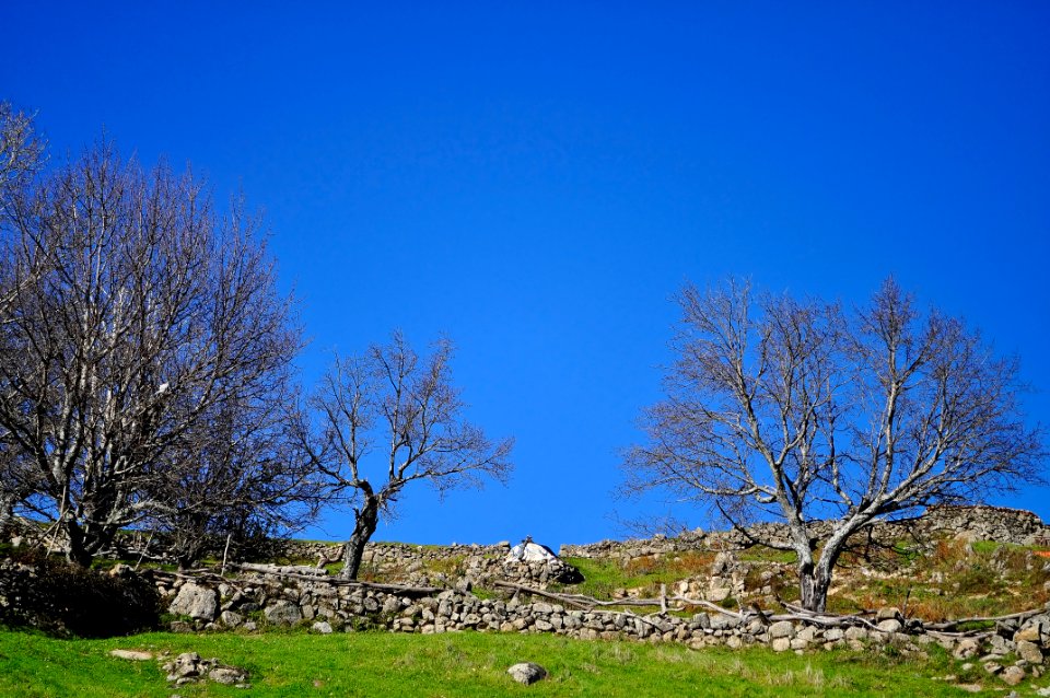 Valle del Ambroz (15339250764)