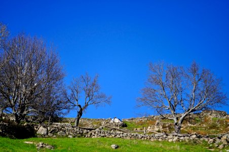 Valle del Ambroz (15339250764)