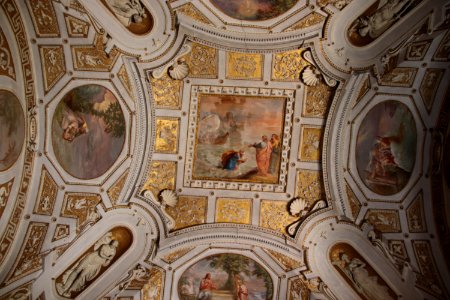 Vatican Museum (48465461352)