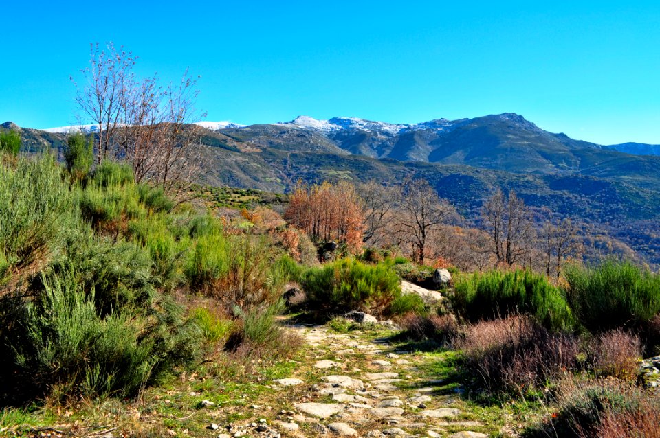 Valle del Ambroz (15774129598)