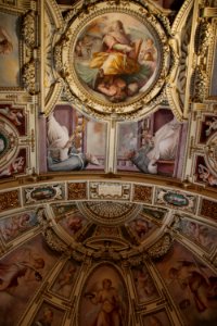 Vatican Museum (48466223232)