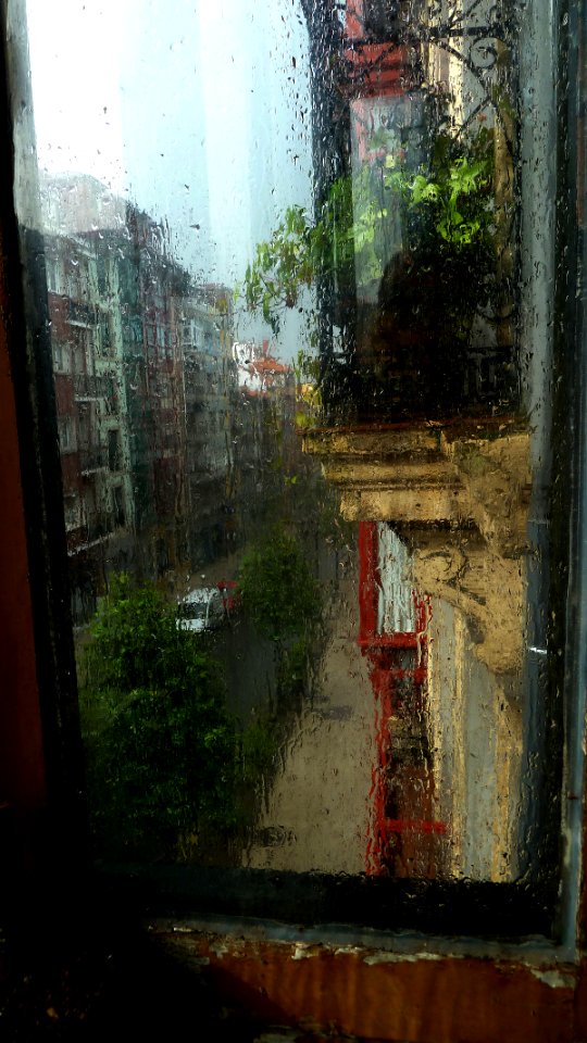 Ventana (9158387185)