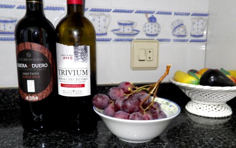 Vinos de la Ribera del Duero (29926513054)