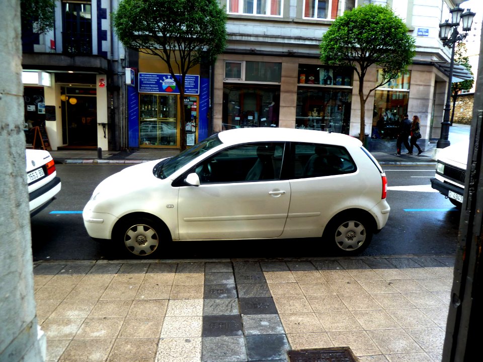 Volkswagen Polo (8174930202)