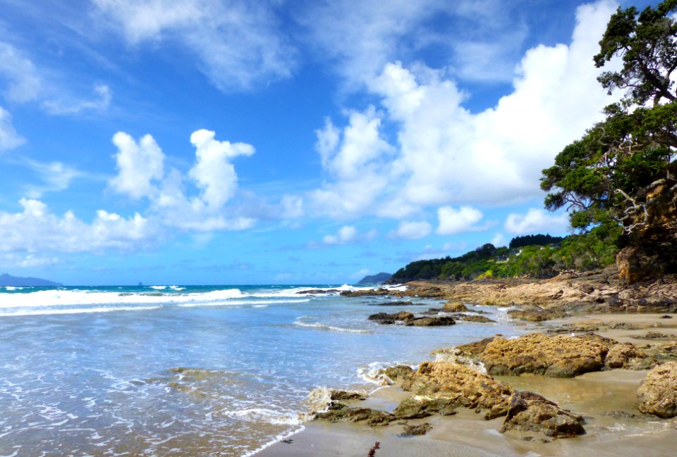 Waipo Cove Northland NZ (51080964932)