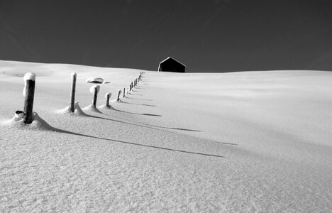 Snow winter loneliness photo