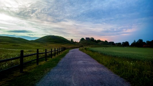 Walking among kings (35037080264)