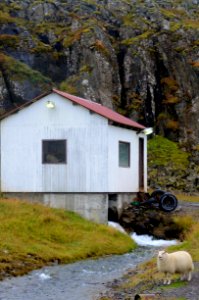 Watermill on the Road to Bildudalur, Iceland (48756099838) photo