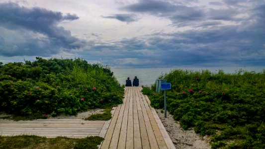 Watching the end from paradise (29100386411)