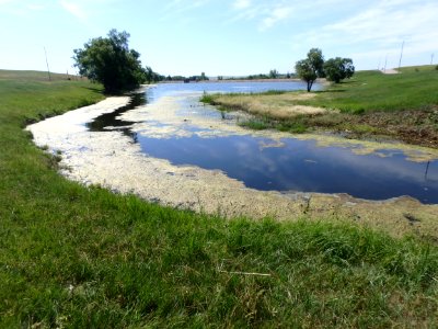 Wetland at Air Force Base (51253270628)