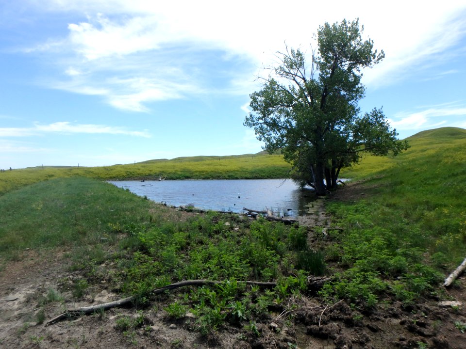 Wetland at Air Force Base (51254077135)