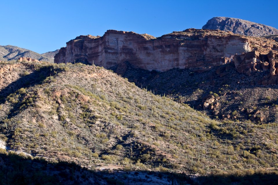 White Canyon Wilderness Area (26427374760)