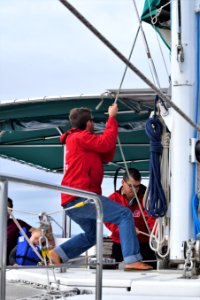 While we were in Funchal, Madeira, we went on a dolphin and whale watching trip on a catamaran. There were dolphins, out there but we missed them, we did see pilot whales. (31262773087)