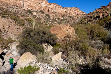 White Canyon Wilderness Area (26427379710)