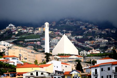 While we were in Funchal, Madeira, we went on a dolphin and whale watching trip on a catamaran. There were dolphins, out there but we missed them, we did see pilot whales. (46151236612)
