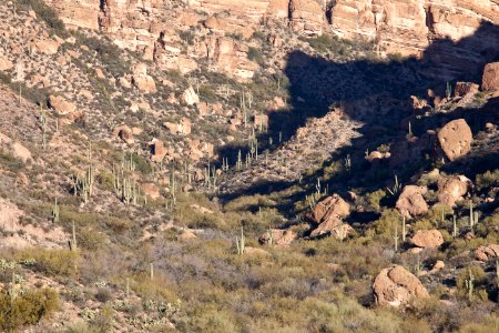 White Canyon Wilderness Area (26427367610)