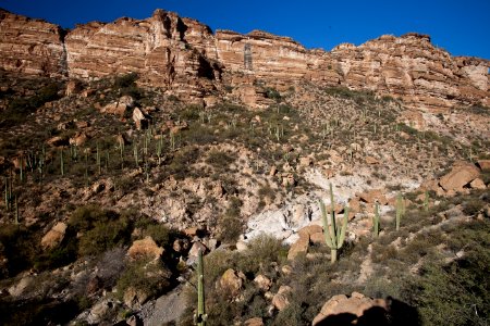 White Canyon Wilderness Area (26427393070)